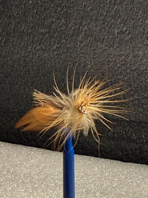 3 LEFT~ EJ’s Desert Fox