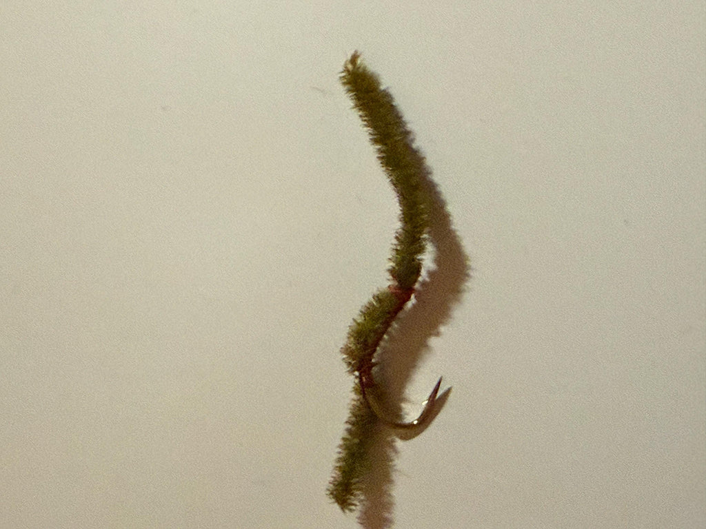 10 IN STOCK~ EJ’s Line Worm